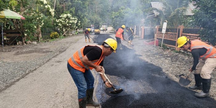 528e73de-997a-4e3c-93a5-315e81291462