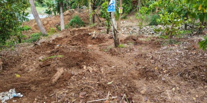 564cca0c-9df4-4a01-a329-5b3a397bb920