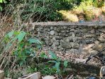 IMG-20260719-WA0041